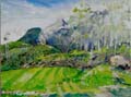 sabah 001